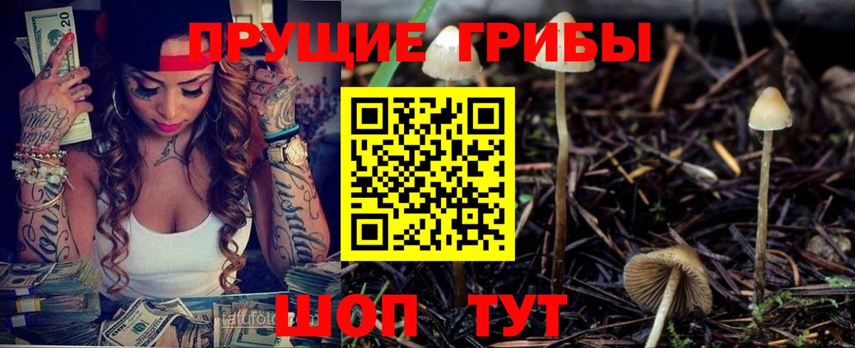 Псилоцибиновые грибы прущие грибы Кисловодск