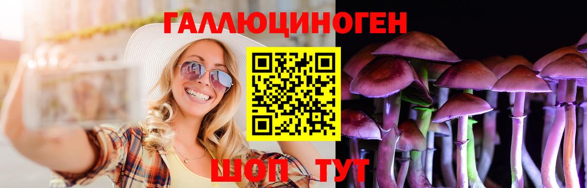Псилоцибиновые грибы ЛСД  Вход с VPN  Кисловодск 